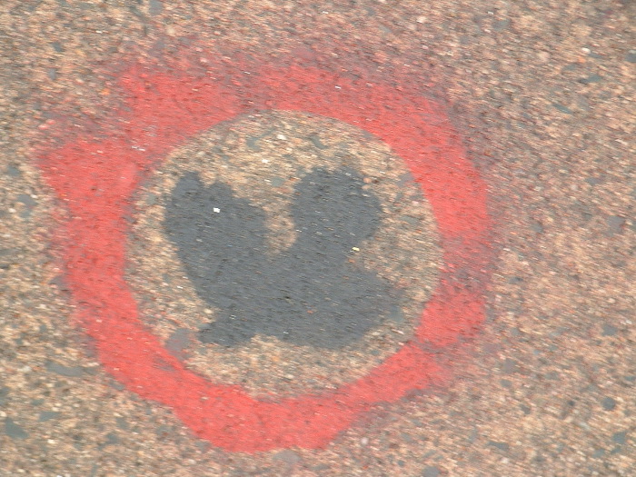 DSCF0018.JPG