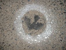 DSCF0009.JPG